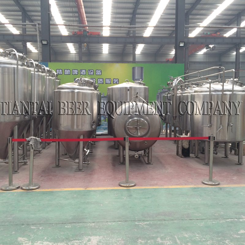 300L Restaurant Nano Brewing System